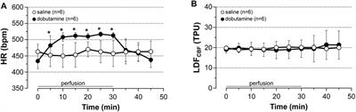 Region-Dependent Increase of Cerebral Blood Flow During Electrically Induced Contraction of the Hindlimbs in Rats